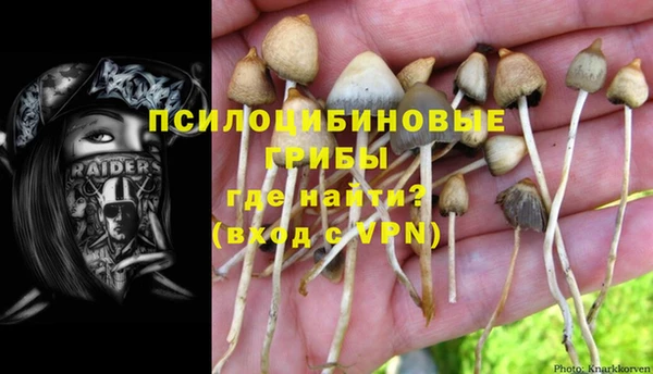 твердый Белокуриха