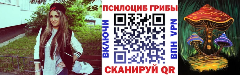 Галлюциногенные грибы Psilocybine cubensis  наркошоп  Павловск 